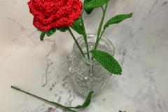 RosenAlbum